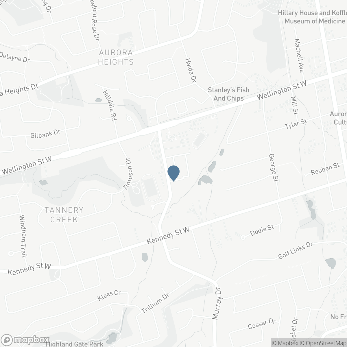 60 SPRINGFAIR AVENUE, Aurora, Ontario L4G 3M2